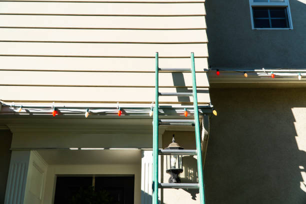 Best Aluminum Siding Installation  in Holly Springs, GA