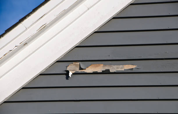 Fascia and Soffit Installation in Holly Springs, GA